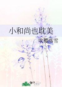 小和尚也耽美